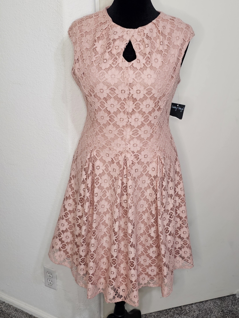Gabby Skye Dusty Pink Lace Fit & Flare Midi Dress Sz 10